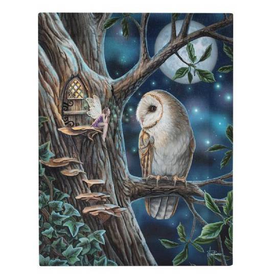 Small Fairy Tales Owl Canvas